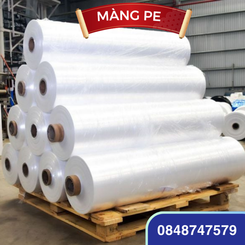 HAKI Group – Quảng Ngãi